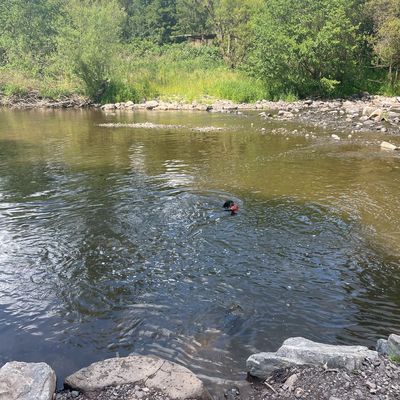 Teich in der Natur bei Oberbrombach